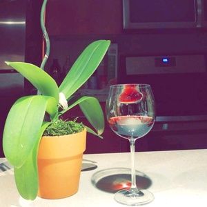 Meet your Posher, Hugo